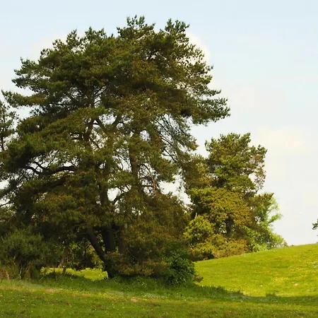 بيت للعطل Haus Am Gardersee Mit Garten *