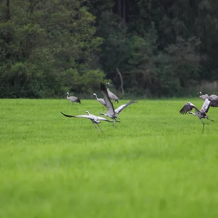 بيت للعطل Haus Am Gardersee Mit Garten *