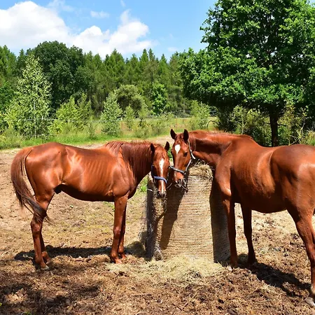 Haus Am Gardersee Mit Garten Garden
